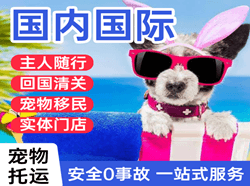 菏泽牡丹航空托运国际宠物托运 【国